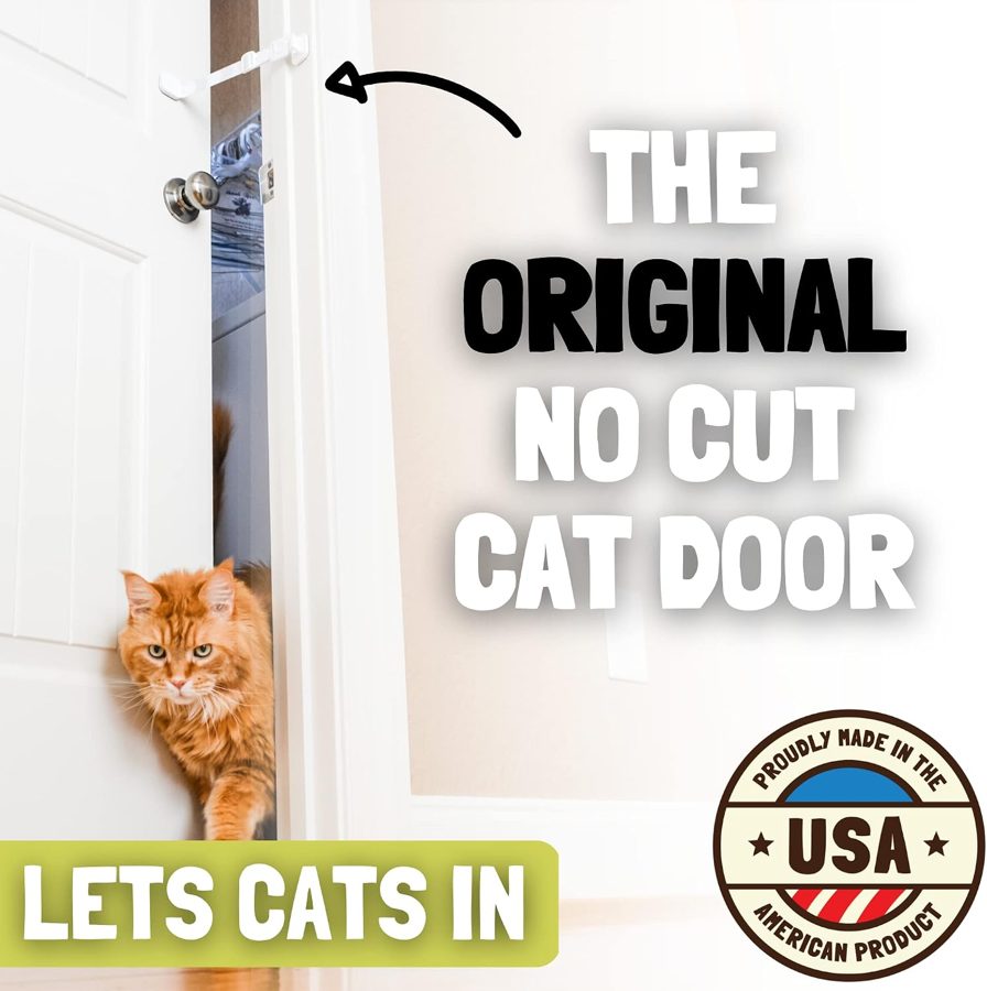 Ginger cat walking through an interior door held ajar by a Door Buddy strap