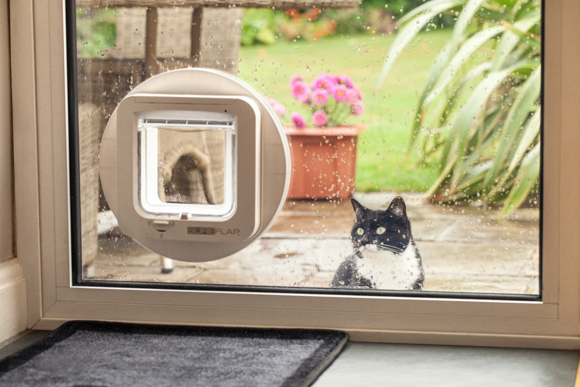 SureFlap microchip cat flap professionally fitted into a double-glazed glass panel, cat waiting outside