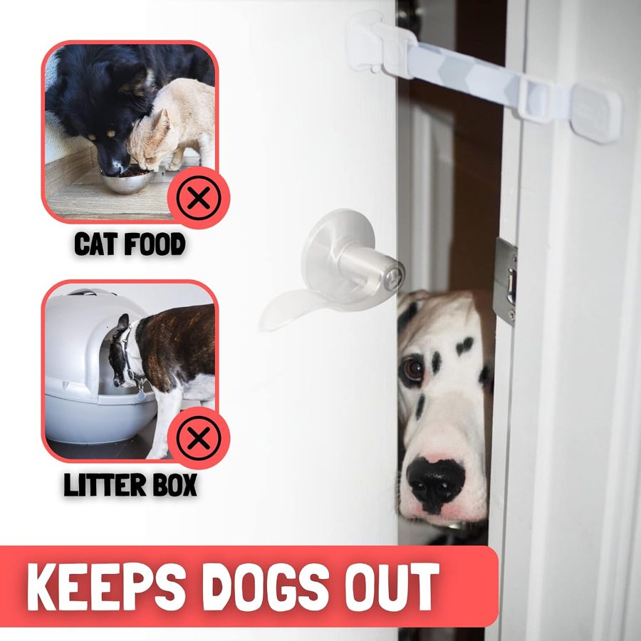 Dog blocked from a cat litter box and food by a Door Buddy door strap