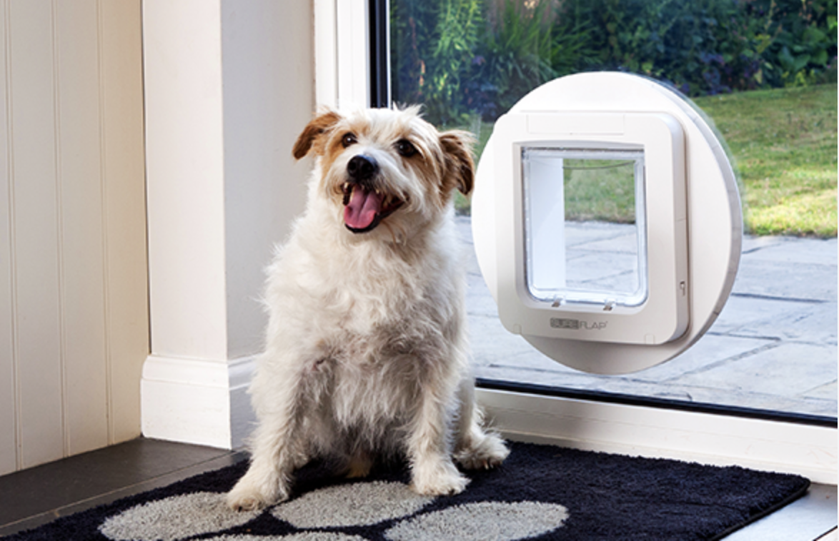 Small dog sitting next to a SureFlap microchip pet door fitted into a glass patio door