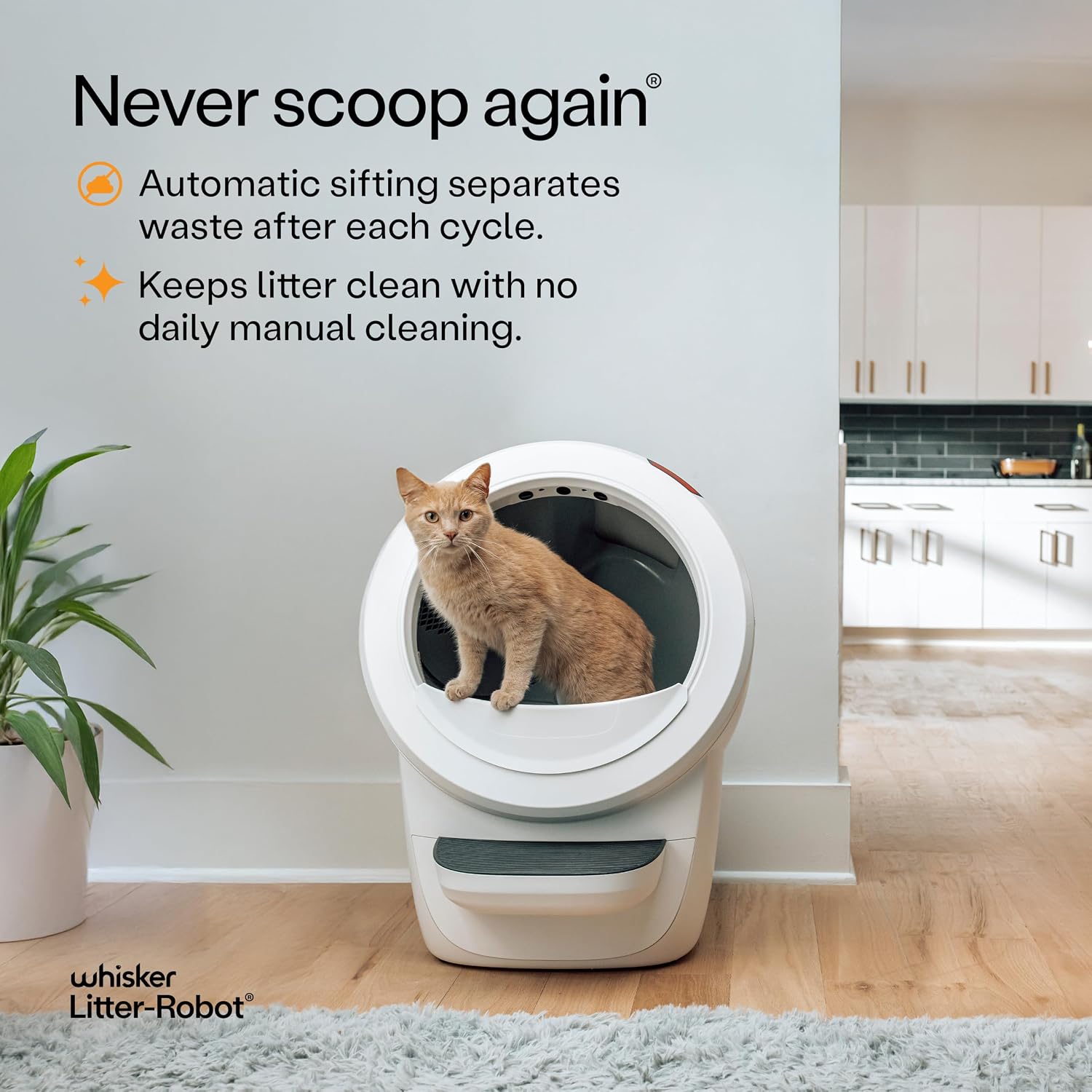 Ginger cat sitting in a white Litter-Robot 4 self-cleaning litter box in a modern kitchen