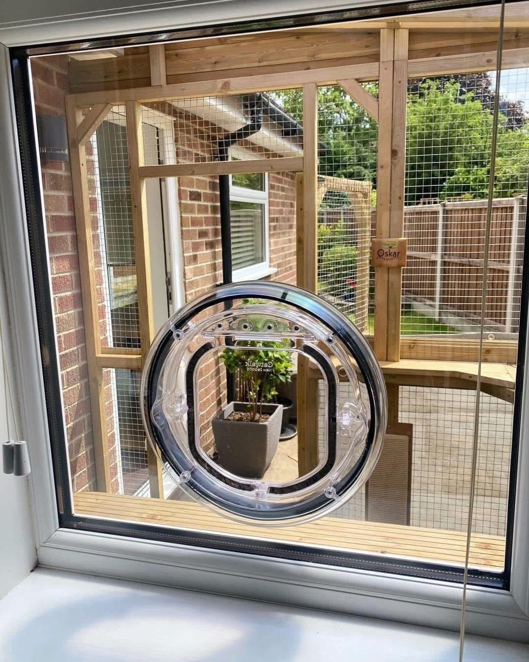 Catwalk cat flap in glass panel leading to a timber-framed catio with plants