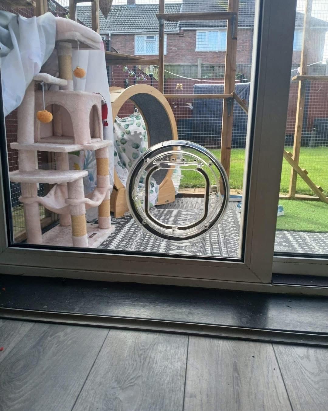 Catwalk cat flap in sliding door with cat tree and exercise wheel visible in catio