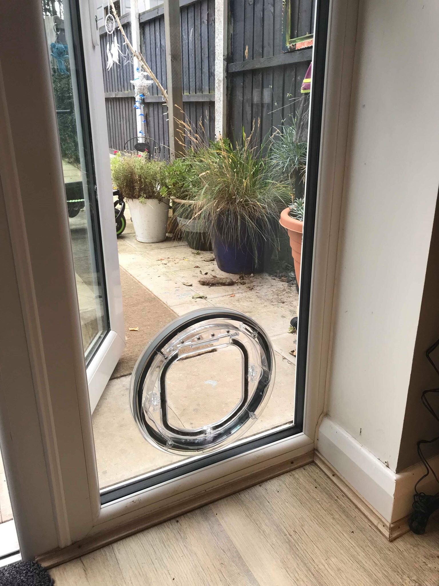 Pet door fitted into a wooden door, viewed from inside