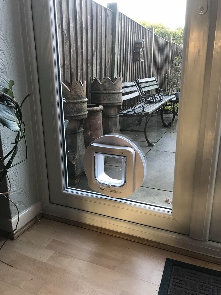 SureFlap microchip cat flap installation in a UPvc back door, North West England